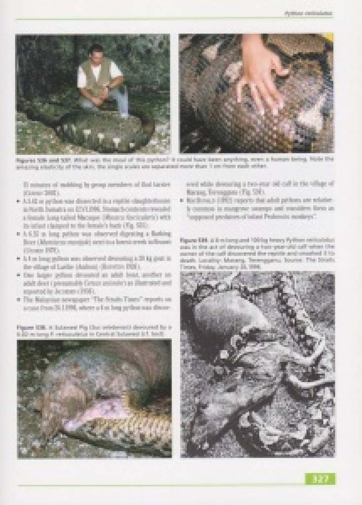 Taxonomy, Life History and Conservation of Giant Reptiles in West Kalimantan
